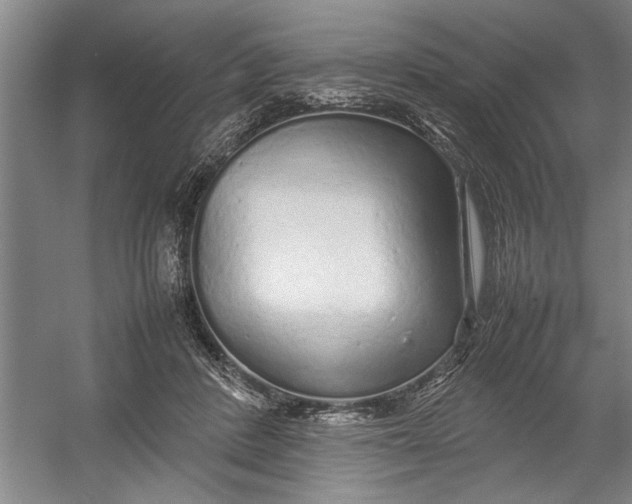 X0000054370408200508191851