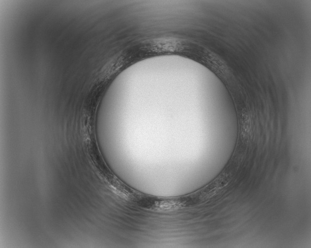 X0000054370414200508191851