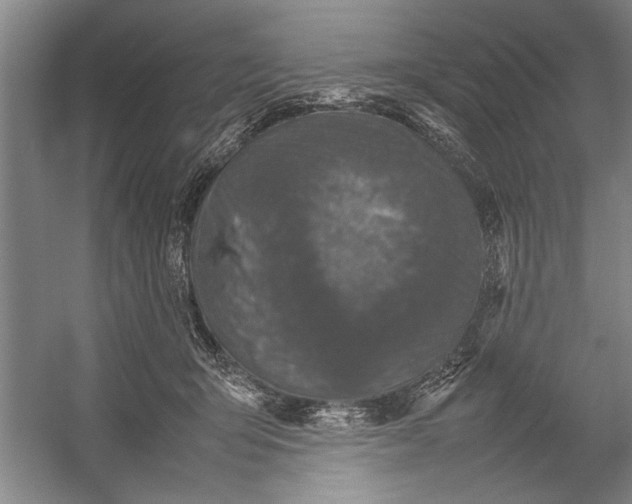 X0000054370415200508191851