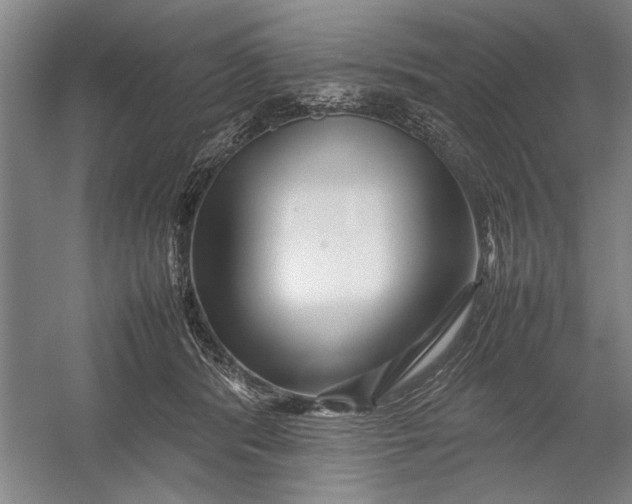 X0000054370416200508191851