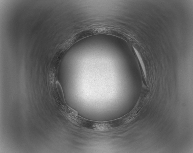 X0000054370417200508191851