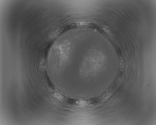 X0000054370419200508191851