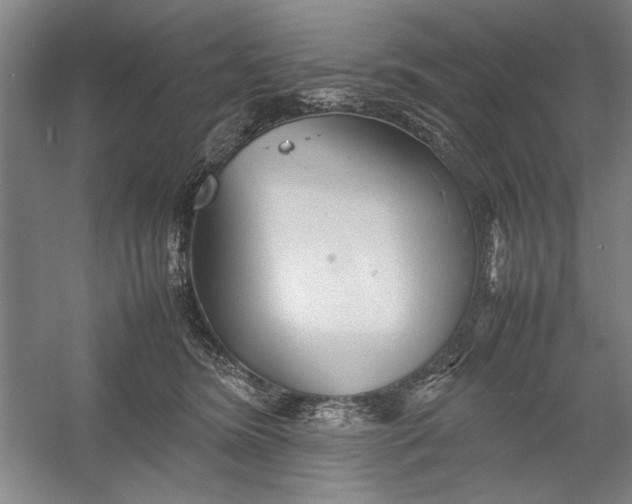 X0000054370420200508191851