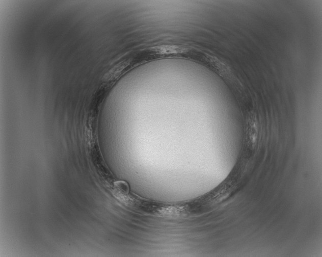 X0000054370422200508191851