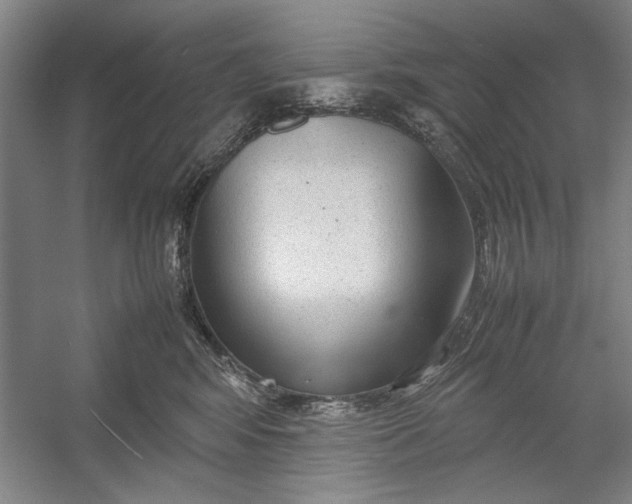 X0000054370424200508191851