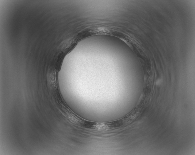 X0000054370425200508191851