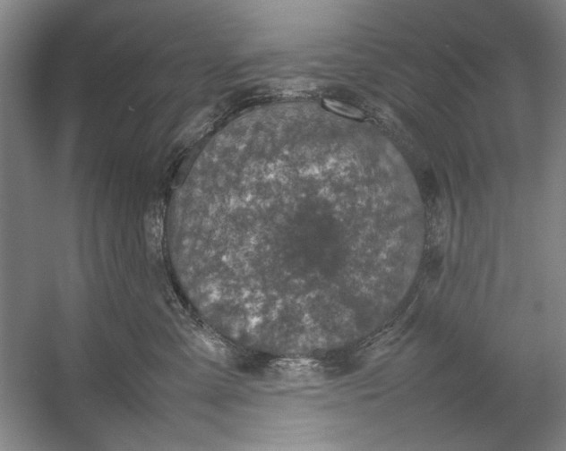 X0000054370427200508191851