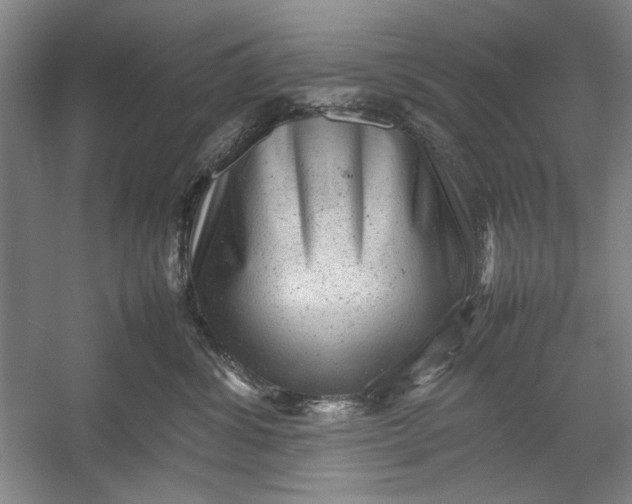 X0000054370428200508191851