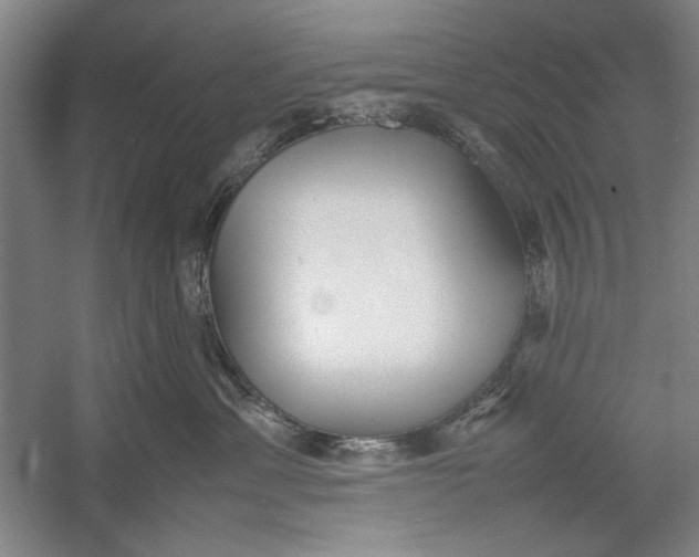 X0000054370429200508191851