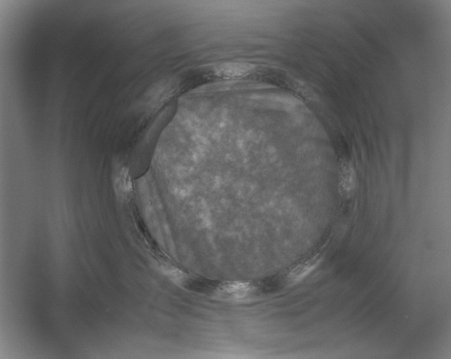 X0000054370431200508191851