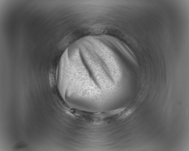 X0000054370432200508191851