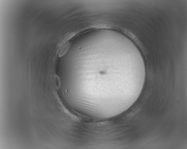 X0000054370433200508191850