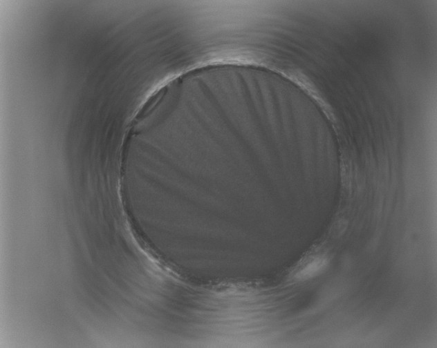 X0000054370434200508191850