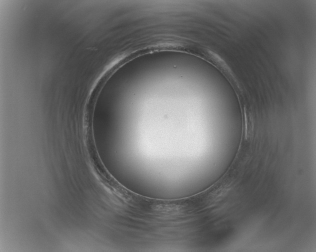 X0000054370435200508191850