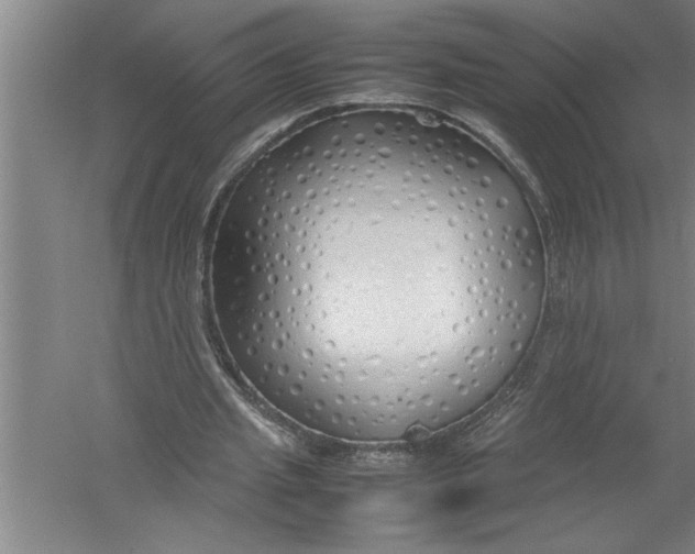 X0000054370437200508191850