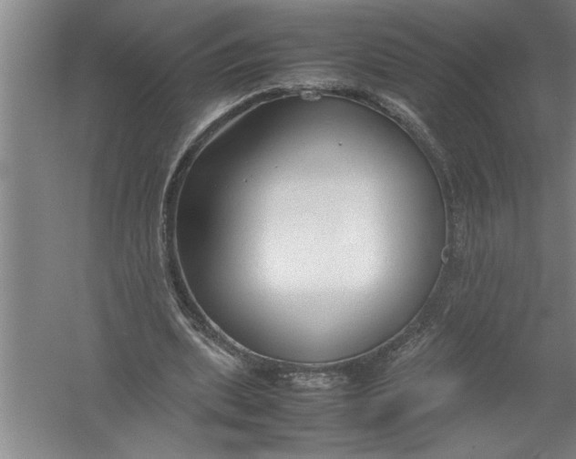 X0000054370439200508191850