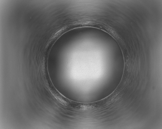 X0000054370442200508191850