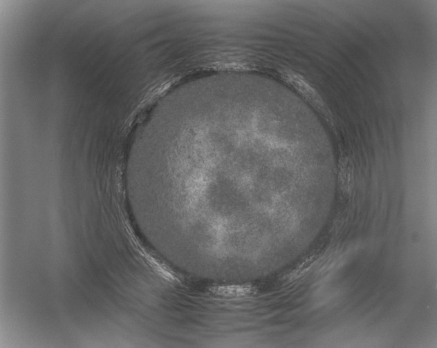 X0000054370449200508191851