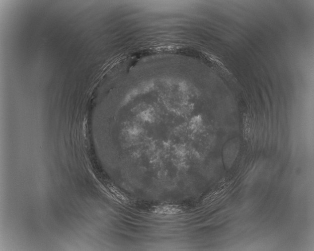 X0000054370451200508191851