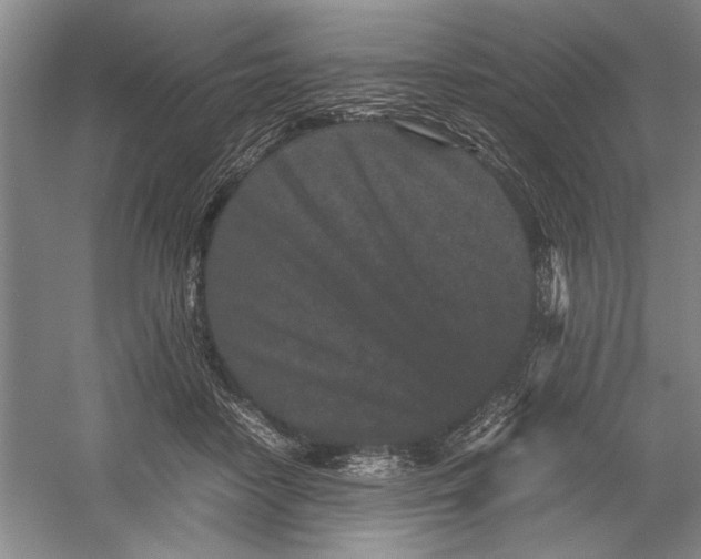 X0000054370458200508191851