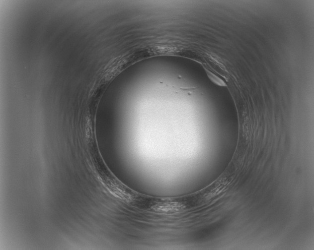 X0000054370459200508191851