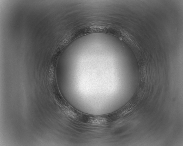 X0000054370463200508191851