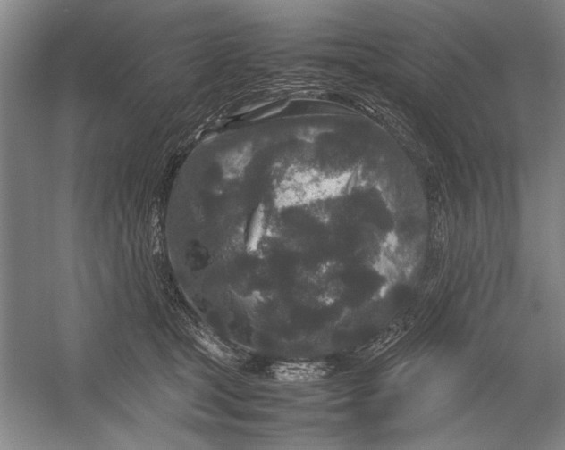 X0000054370465200508191851