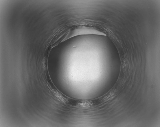 X0000054370466200508191851