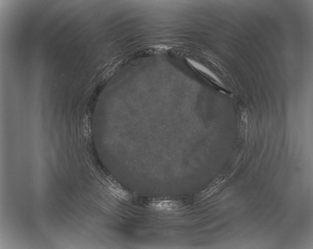 X0000054370467200508191851