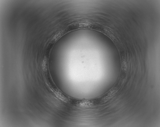 X0000054370468200508191851