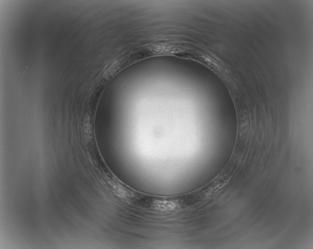 X0000054370469200508191851