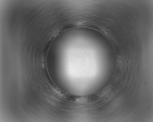 X0000054370470200508191851