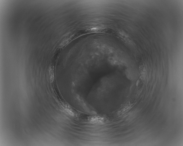 X0000054370471200508191851