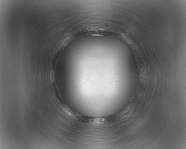 X0000054370474200508191851