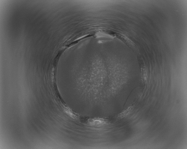 X0000054370475200508191851