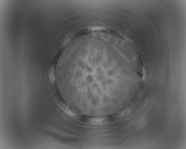 X0000054370479200508191851