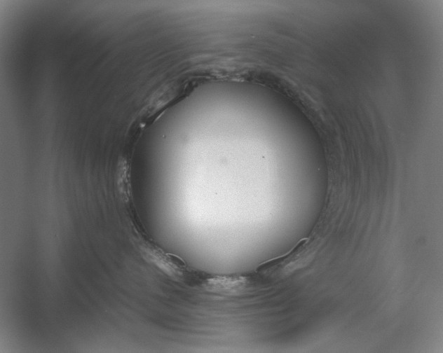 X0000054370480200508191851