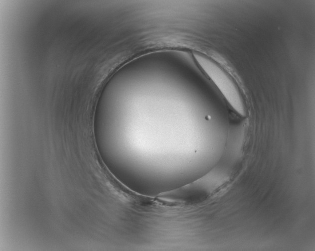 X0000054370481200508191850