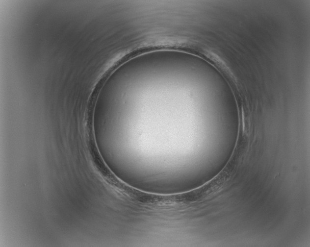 X0000054370483200508191850