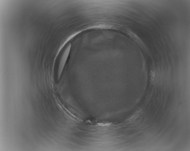 X0000054370484200508191850