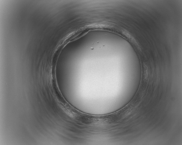 X0000054370486200508191850