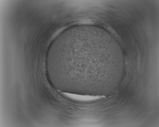 X0000054370487200508191850