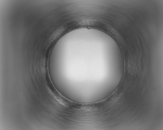 X0000054370490200508191850