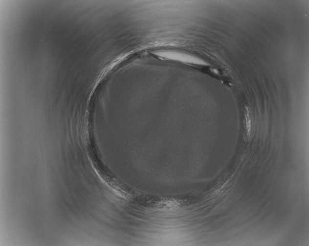 X0000054370492200508191850