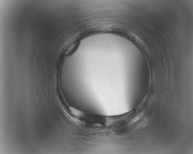 X0000054370493200508191850