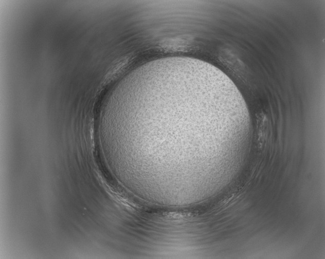 X0000054370494200508191850