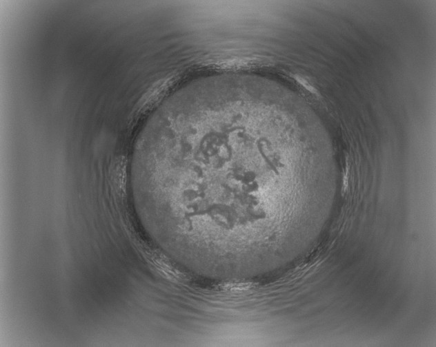 X0000054370495200508191850