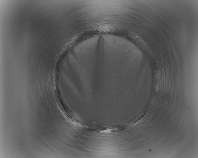 X0000054370496200508191850