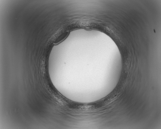 X0000054370497200508191850