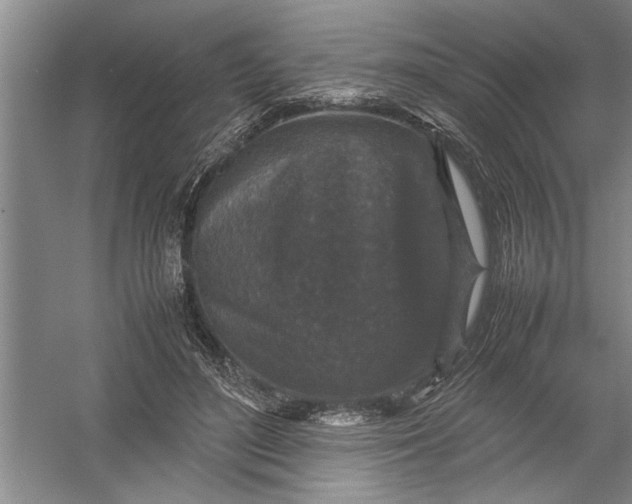 X0000054370500200508191850